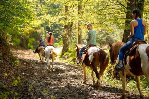 Try Zip Lining And Horseback Riding All At This One Tennessee Adventure Park