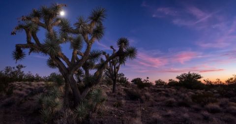 The 8 Best Backroads In Arizona For A Long Scenic Drive