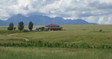 The First And Oldest Vineyard In Arizona Belongs On Every Wine Lover's Bucket List