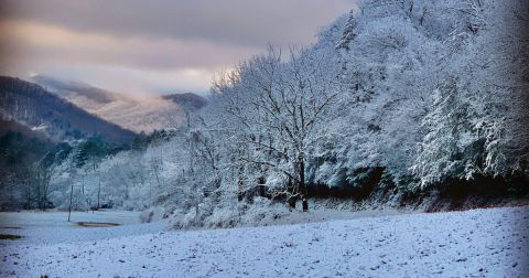 7 Georgia Day Trips That Are Even Cooler During The Winter