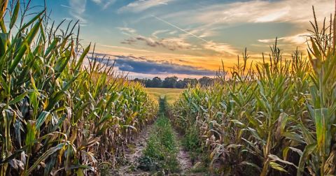 6 Hills Every Hoosier Is Willing To Die On