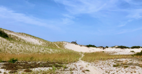 Provincetown Dunes Is An Otherworldly Destination At The End Of Cape Cod, Massachusetts