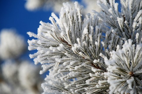 It Was So Cold In North Dakota In 1936, Temperatures Stayed Below Zero For 37 Days