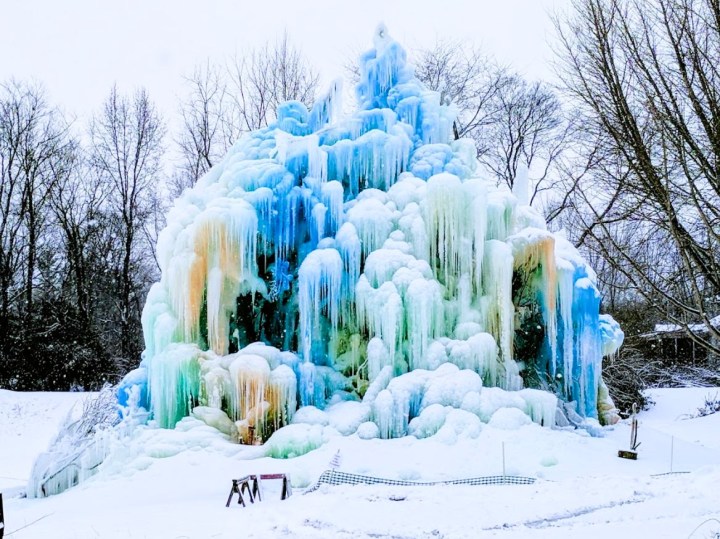 Ice Tree