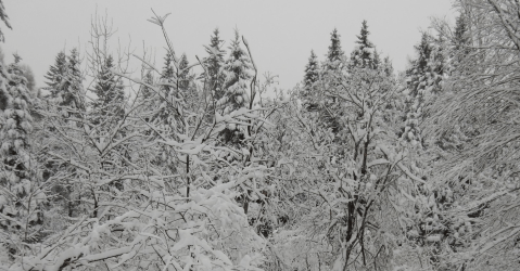 A Winter Getaway To Maine's Snowiest Town Is Nothing Short Of Magical