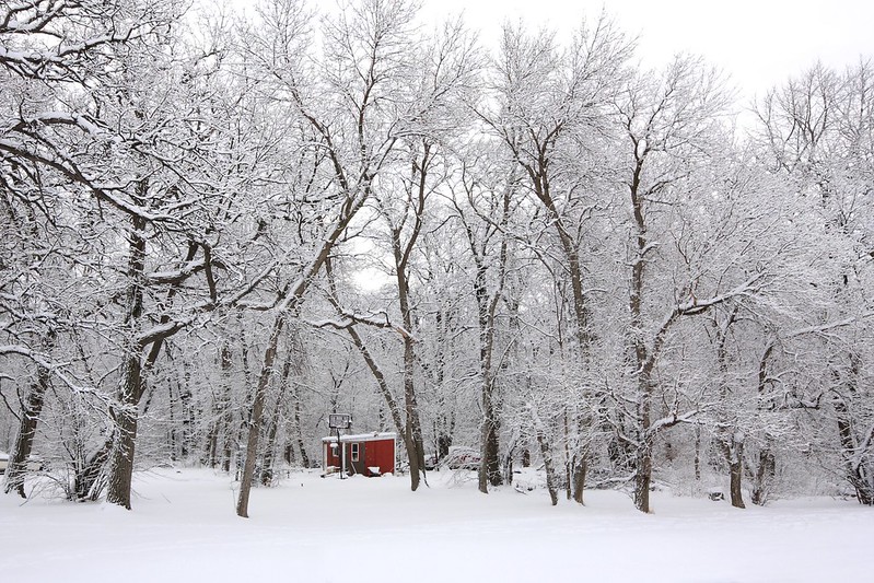 North Dakota banner image