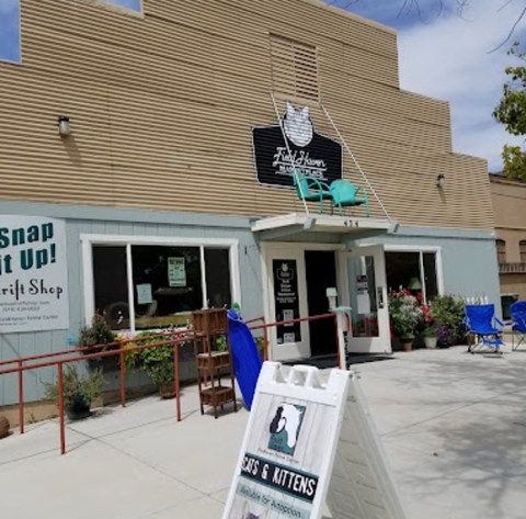 Champy’s Catfe Is A Completely Cat-Themed Catopia Of A Cafe In Northern California