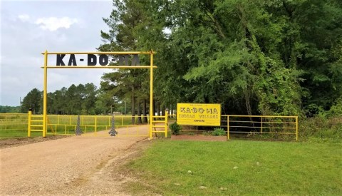 We Bet You Didn't Know This Small Town In Arkansas Was Home To The Only Open Ancient Indian Mound In America