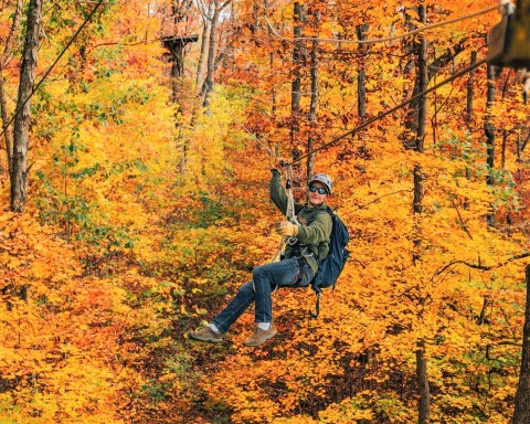 The Longest Wilderness Canopy Tour In Arkansas Can Be Found At Buffalo Outdoor Center