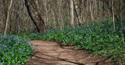 Here Are The 6 Most Beautiful Gardens You'll Ever See In West Virginia