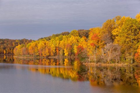 Here Are 10 Of The Most Beautiful Lakes In Maryland, According To Our Readers