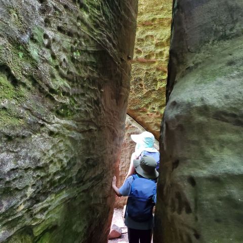 There's A Canyon In Illinois That Resembles Antelope Canyon, But Hardly Anyone Knows It Exists