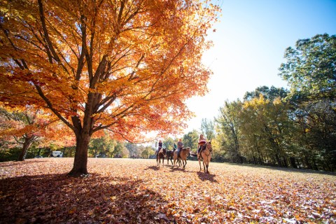 12 Scenic State Parks In Arkansas To Explore, One For Each Month Of The Year