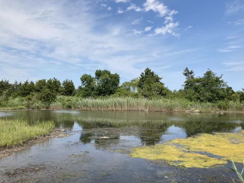 Paddling Through Ninigret Pond Is A Magical Rhode Island Adventure That Will Light Up Your Soul