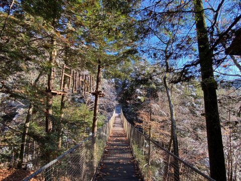 The Longest Elevated Canopy Walk In Massachusetts Can Be Found At Ramblewild