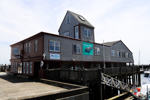 Massachusetts Has A Brand New Shark Center On Cape Cod