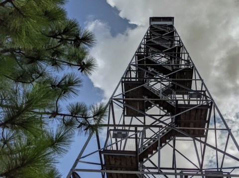 Climb 111 Steps To The Top Of The Smith Mountain Fire Tower In Alabama And You Can See Across Beautiful Lake Martin