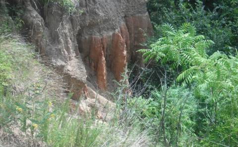 You'd Never Know One Of The Most Incredible Natural Wonders In Missouri Is Hiding In This Tiny Park