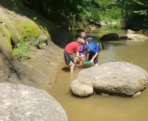 Search For Fossils At W.M. Browning Cretaceous Fossil Park In Mississippi Which Was An Ancient Ocean Once Upon A Time