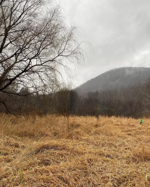 Get Your Outdoor Fix With The Whole Family At Pratt Nature Center In Connecticut