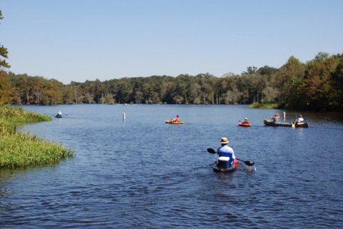 Paddling Through The Hidden Parts Of Lake Chicot Is A Magical Louisiana Adventure That Will Light Up Your Soul