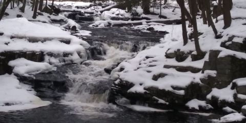 This Scenic Trail In Pennsylvania Is Everything You Need This Winter