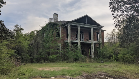 This Fascinating Mississippi Mansion Has Been Abandoned And Reclaimed By Nature For Decades Now