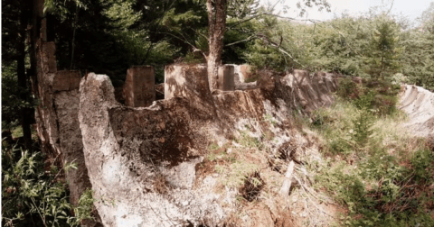 This Abandoned West Virginia Ghost Town Was Once The Highest, Coldest Town In The East