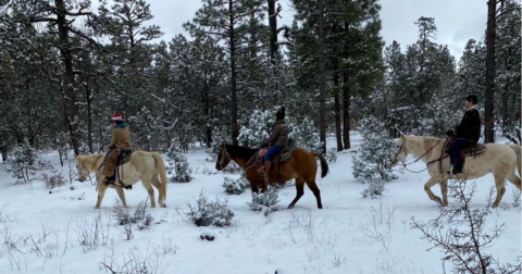 The Small Town In Arizona That Comes Alive During The Winter Season