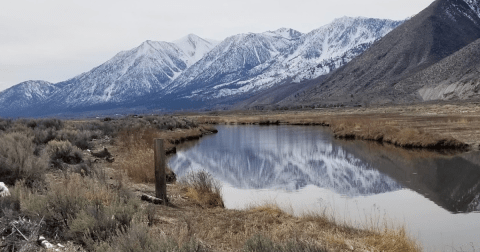 The Small Town In Nevada That Comes Alive During The Winter Season