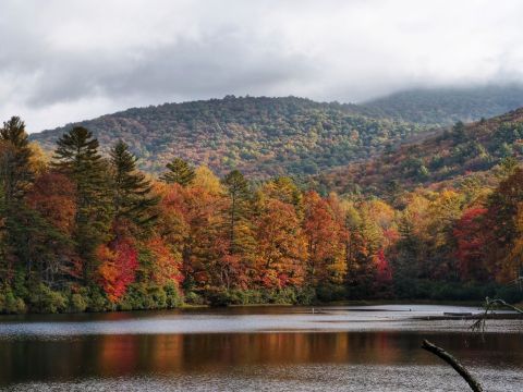 There's A Lake In Georgia That's Absolutely Magical, But Hardly Anyone Knows It Exists
