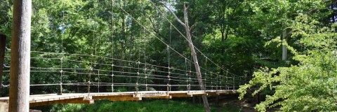 With A Swinging Bridge And 31 Miles Of Trails, This Underrated North Carolina State Park Is A Must-Visit