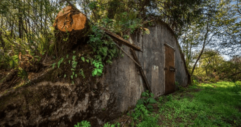 Not Many People Know About The Secret, Abandoned WWII Bunker Hiding In Oregon