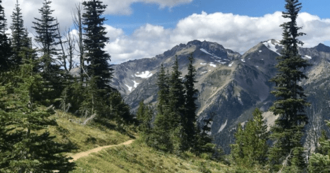 There's A Hike In Washington That Leads You Straight To An Abandoned Plane Crash