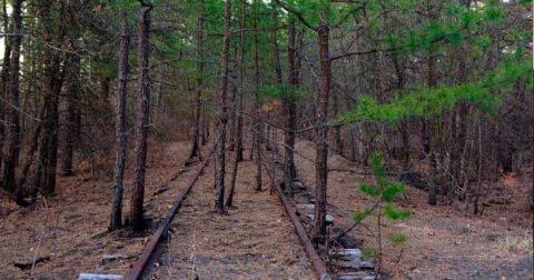 You’ve Never Experienced Anything Like This Epic Abandoned Railroad Hike In New Jersey