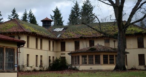 10 Abandoned Places In Washington That Nature Is Reclaiming