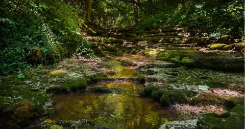 There's A Kentucky Trail That Leads To A Surprise Waterfall The Entire Family Will Love