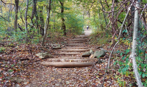 South River Falls Trail In Virginia Will Lead You To Straight To A Rushing Waterfall