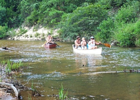 Paddling Through The Magnolia Branch Wildlife Reserve Is A Magical Alabama Adventure That Will Light Up Your Soul