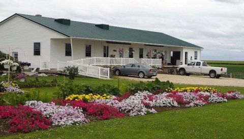 Stock Up On Amish Goodies At Plainview Country Store, Then Enjoy The Iowa Countryside Along Amish Boulevard