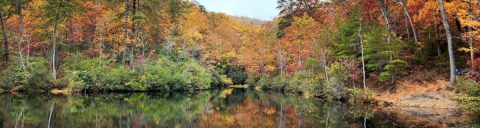 With 4 Lakes And 17 Miles Of Trails, This Underrated South Carolina State Park Is A Must-Visit