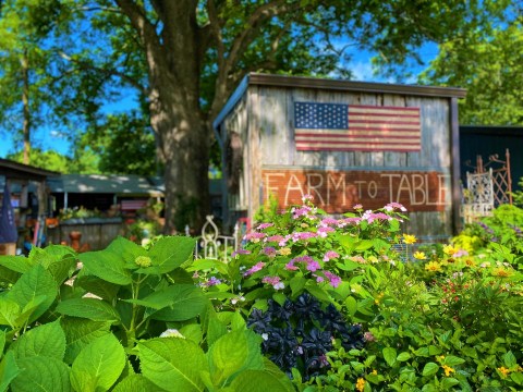 The One-Of-A-Kind Farmers Market In Arkansas Serves Up Fresh Homemade Pie To Die For