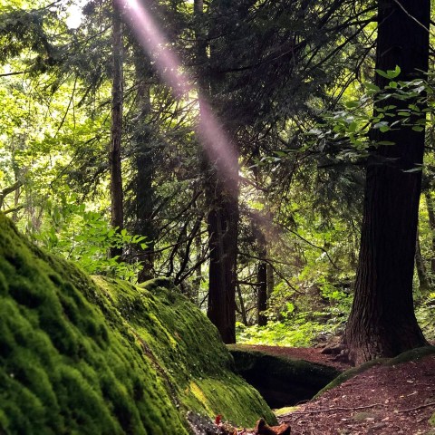 There's A Park Near Cleveland That Looks Just Like A Miniature CVNP, But Hardly Anyone Knows It Exists