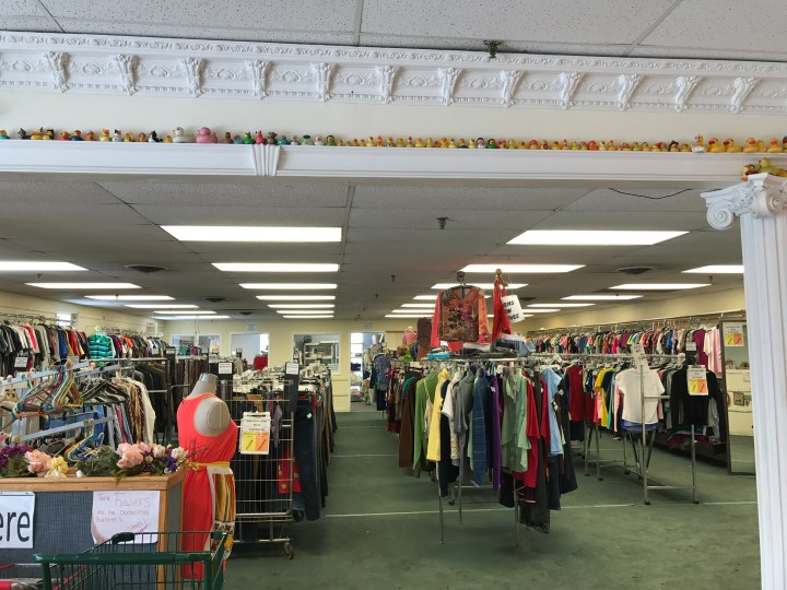 Thrift Store Ann Arbor Michigan