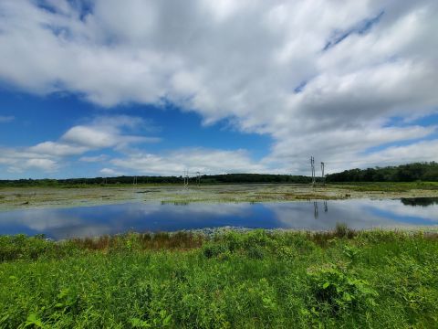 The Marvelous 4.3-Mile Trail In Rhode Island Leads Adventurers To A Little-Known Swamp