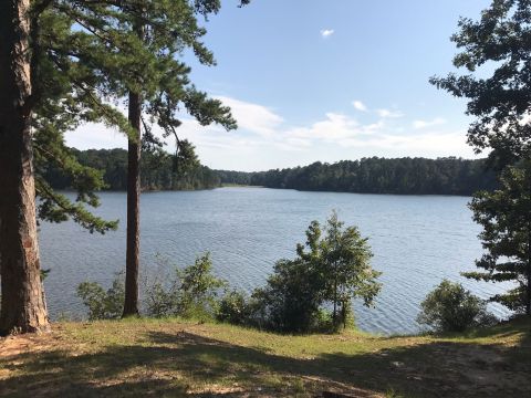 The Waterfront Hiking Trail In Mississippi Will Capture Your Imagination