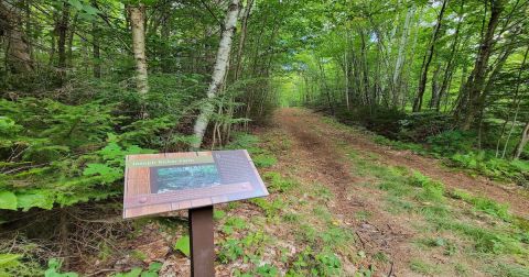 The Creepiest Hike In Vermont Takes You Through The Ruins Of A Ghost Town