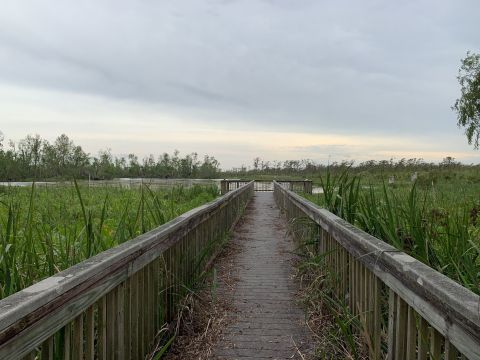 The Underrated Mandalay Nature Trail Trail In Louisiana Leads To Stunning Emerald Green Wetlands