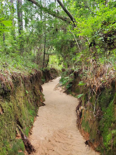 The Marvelous 2.5-Mile Trail In Louisiana Leads Adventurers To A Little-Known Canyon