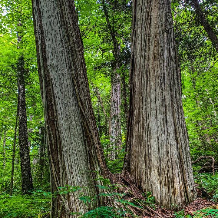 Natural Wonder South Manitou Island Michigan